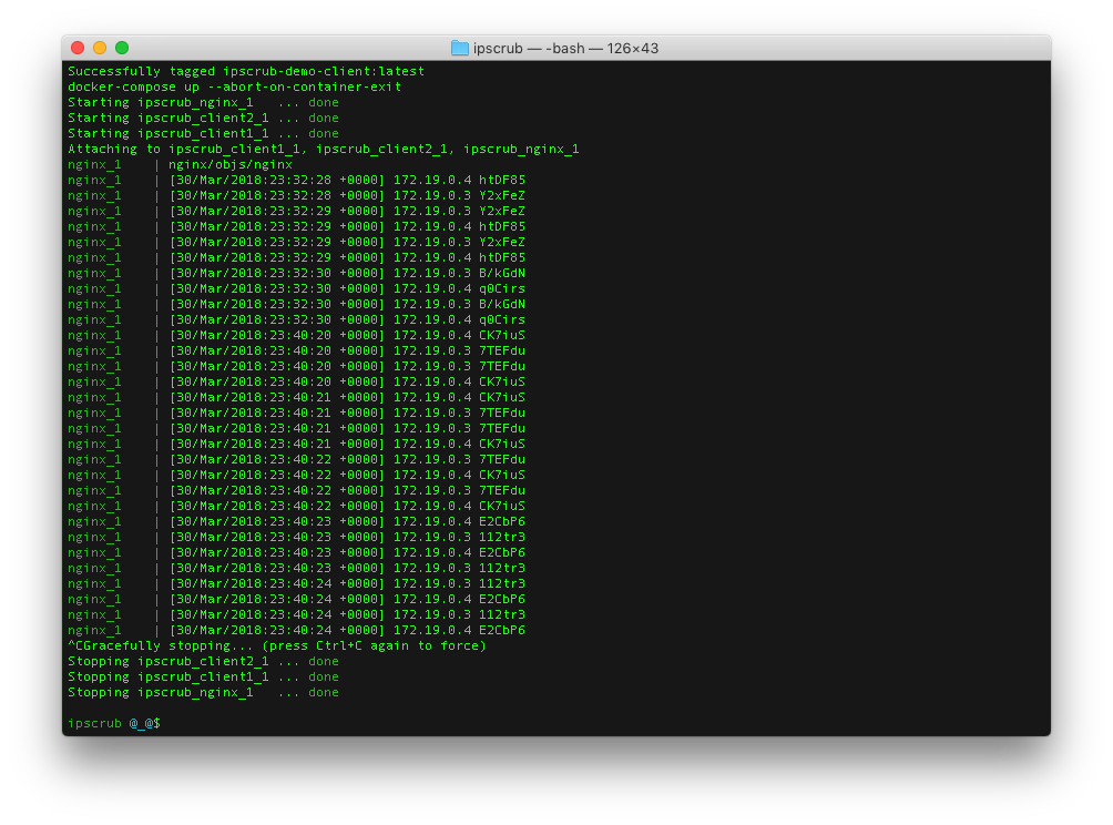 Screenshot of nginx logs when using ipscrub